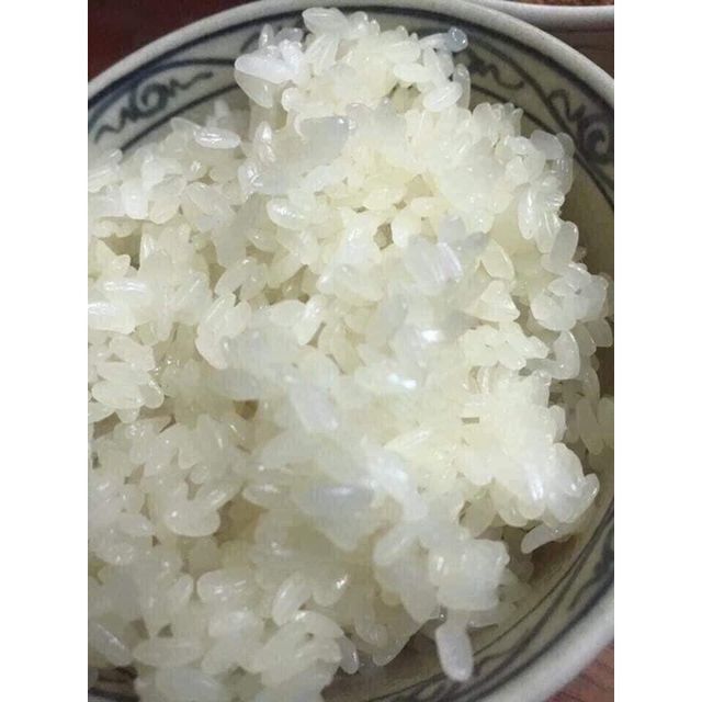 Short Grain Rice, Japonica rice vietnamese rice rice vietnam, Healthy and Delicious Cheapest price - Image 3