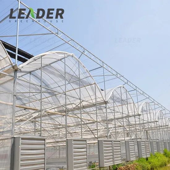 Solar Greenhouse Plastic Films and Strawberry Greenhouses for Agriculture - Image 3
