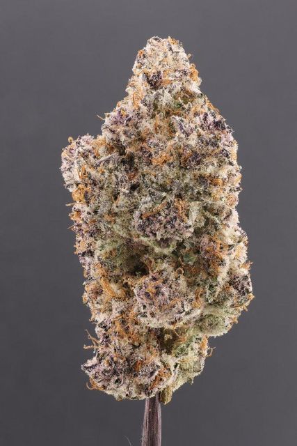 Cannabis - Image 7
