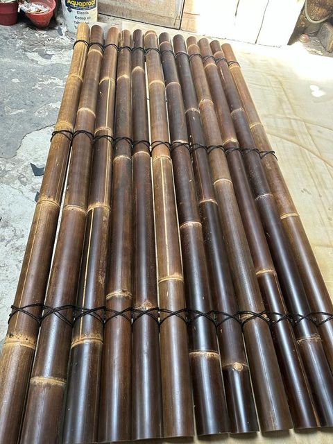 Bamboo Petung/Dendrocalamus Asper - Image 3