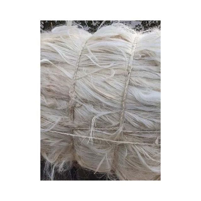 Sisal Fiber in Length 100~130cm for Gypsum / Plaster / Paper China Origin - Image 4