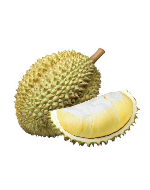 HIGH QUALITY FROZEN DURIAN MONTHONG THE GREATEST TASTE AND PREMIUM QUALITY - Image 3