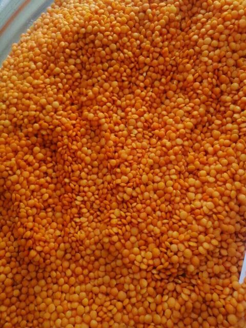 Premium Red Lentils – High-Quality, Organic & Nutritious Pulses for Cooking - Image 3