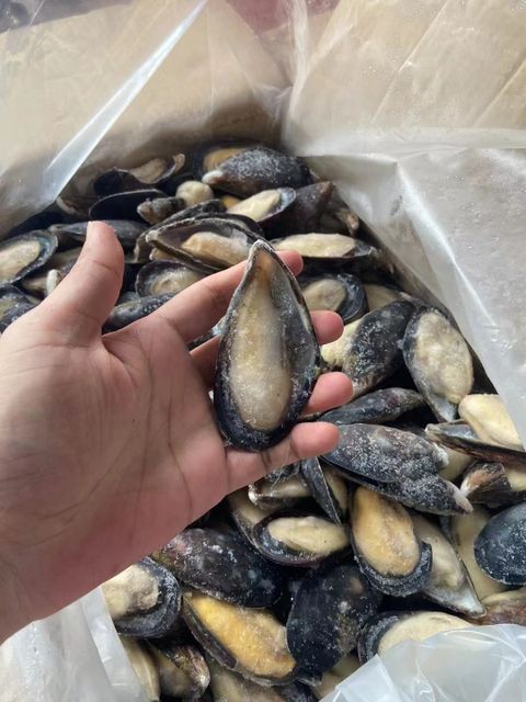 High Quality Import Shellfish Mussels Blue Mussels Meat Frozen Half Shell Mussel - Image 4