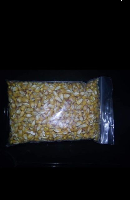 Wheat Bran - Yellow Corn Ash Content 6.5% Max Fibre Content 10% Max Weight (kg) 25000 kgs Broken Kernels 3.0% Max Starch Content 25 Ppb Max - Image 2