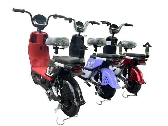 OEM/ODM 48V 350W Electric Bicycle Ebike on Electric City Bike - Image 4