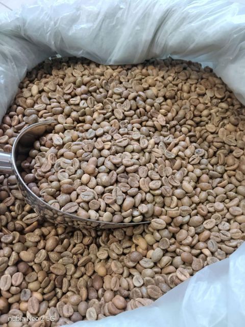 Indonesian Premium Arabica Green Coffee Beans Grade (1-4) - Image 5