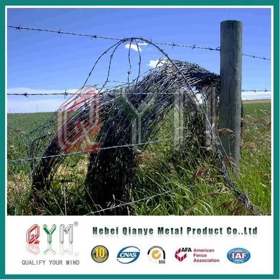 Hot Dipped Galvanized Barbed Wire Razor Barbed Wire Price Per Roll - Image 3