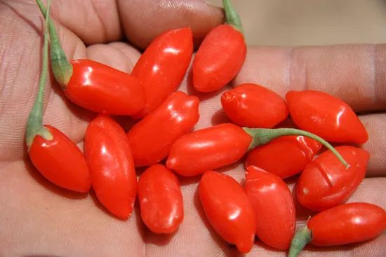 Organic Goji Berry OEM Size Small Package Lowest Price MOQ 500kg OEM/ODM Yes Model NO. OEM Custom Support Type Dried Goji - Image 2