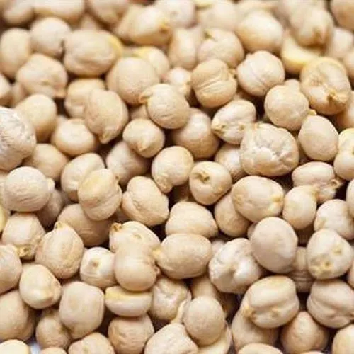 Premium Organic Chickpeas Raw Whole Kabuli Beans Bulk Wholesale Supply Cheap & Affordable Pricing - Image 4