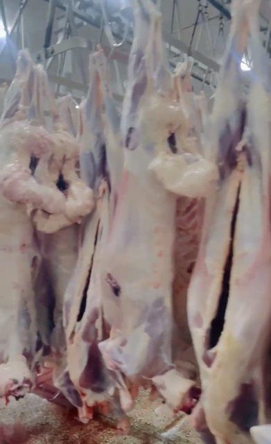 Lamb and beef from Kenya - Image 4