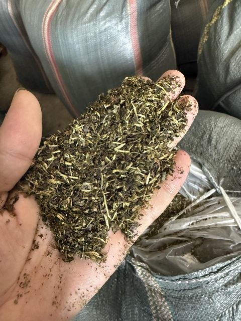 Vietnamese Green Tea - Image 5