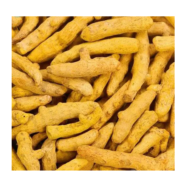 Wholesale Bulk Dried Tumeric slices and curcumin finger - Image 3