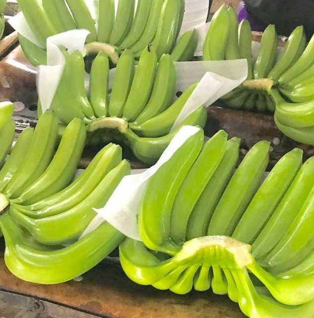 Natural Fresh Cavendish Banana Export from Vietnam with Consistent Quality for Global Wholesale Buyers - Image 4