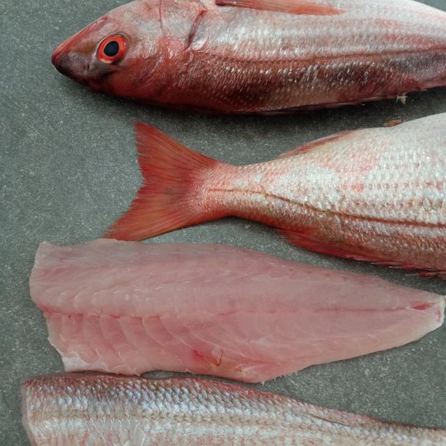 Fresh IQF Frozen Redfish Red Drum Whole Fillet Steak Gutted Scaled Seafood Export Bulk Supply - Image 5