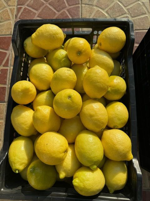 Fresh Eureka Lemon for sale class 1 export quality - Image 3