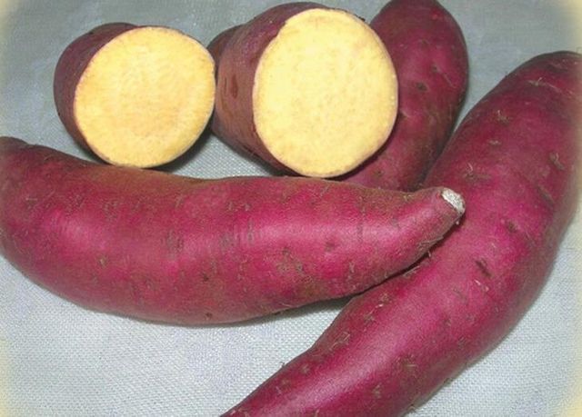 Japanese sweet potato, Purple sweet potato wholesale - Image 6