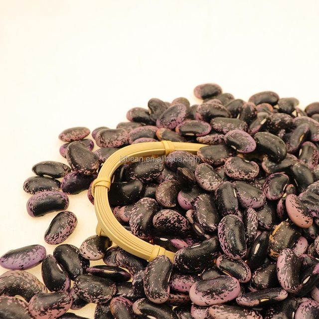 Black Beans China Giant Black Speckled Kidney Beans Dried Black Pinto Beans - Image 5