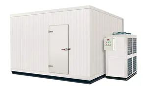 Cold Room Refrigeration Freezing Rooms, Mini Refrigeration System - Image 3