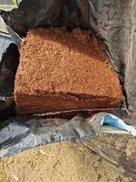 Coco Coir Peat Block 5kg Washed Dewatered Coconut Coir Brick Bulk Export Supply 5kg coco coir block bulk - Image 1