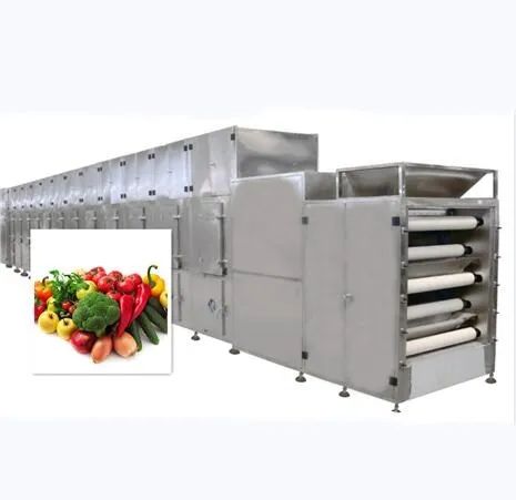 Fruit Vegetable Processing Machine Tunnel Drying Oven Vegetable Dryer Drying Machine - Image 2