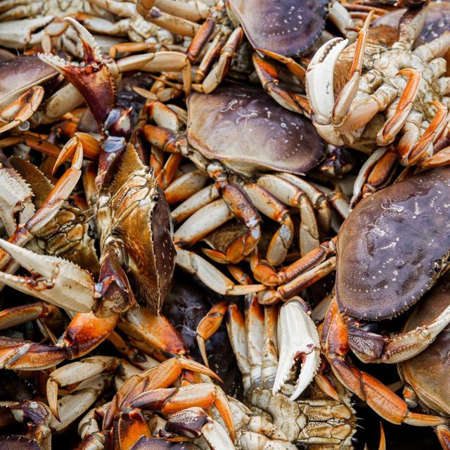 Frozen Crab High Quality Fresh Seafood Suitable for Food Distributors Restaurants Supermarkets and Export Markets - Image 3