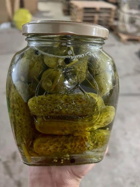 TOP QUALITY PICKLED CUCUMBER / PICKLED BABY CUCUMBER 3-6cm / CANNED PICKLE CUCUMBER JARS - Whatsapp 0084 989 322 607 - Image 5