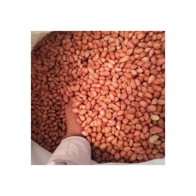 Premium Peanuts bulk supply wholesale cheap price nutritious nuts - Image 1