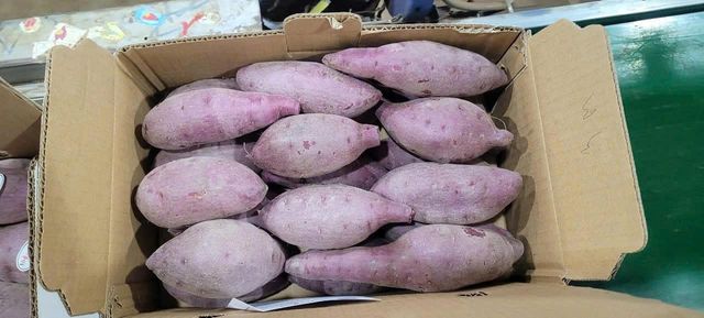 PURPLE SWEET POTATO - Image 3