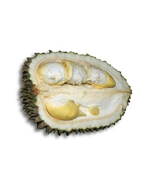 Quality Durian Freeze Dried Fruit Pieces Monthong Variety From Thailand No Additives No Added Sugar Premium - Image 5