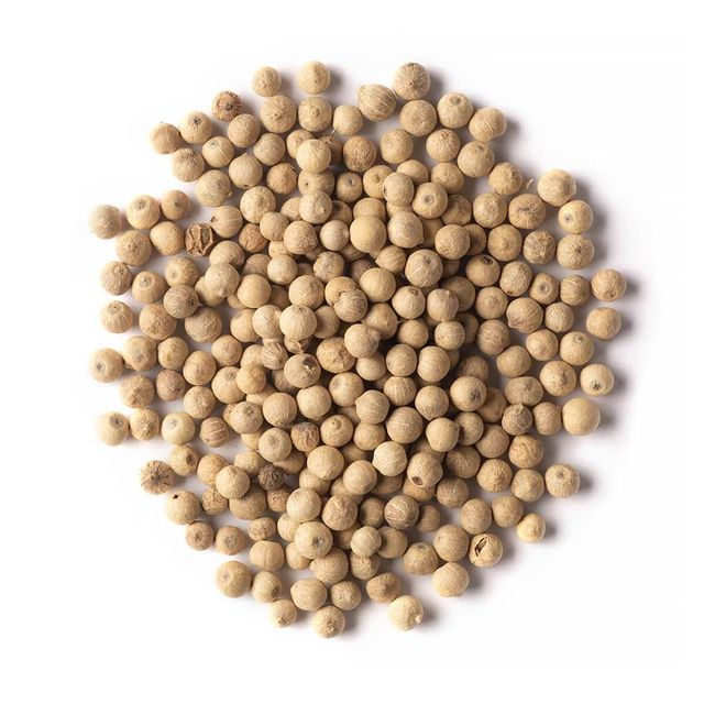 Premium Export Quality White Pepper Whole Spice For Global Food Processing And Bulk Supply White Pepper Rich Aroma And Natural Flavor - Image 4