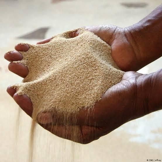 White Teff Grain - Image 1