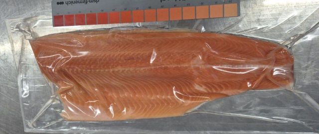 Trout Form Frozen Condition Frozen Weight Range 1-1.3 Kg Packaging Single frozen Product Stability Stable Supply Price Per Kilogram 10.60 Usd/kg - Image 2