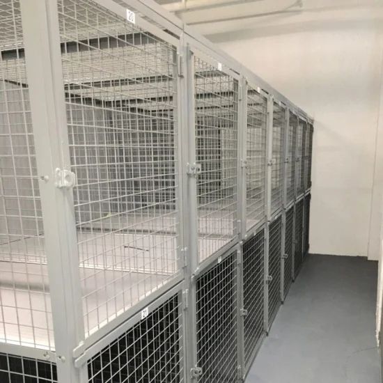 Single Tier and Double Tier Welded Wire Mesh Storage Lockers - Image 2