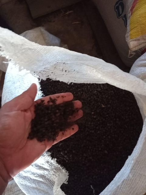 wholesale back pepper-bulk supply for Restaurants and Retail - Image 5