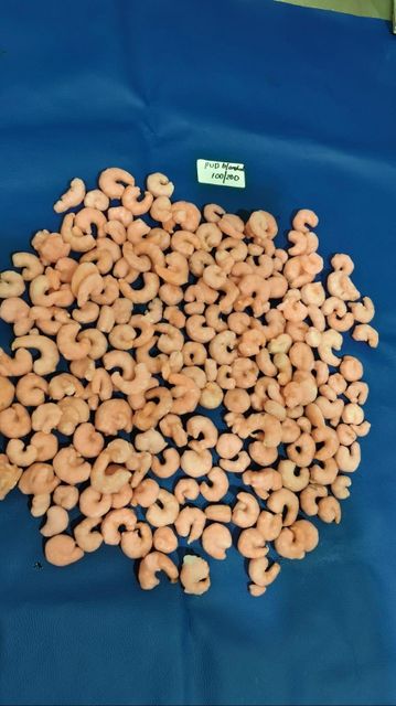 SHRIMPS PUD 80/120 NET COUNT IQF BLANCHED 35% GLAZED Type FROZEN Grade 80/120 Packaging 1KGX10 Shelf Life 2 years Variety Sea Caught - Image 2