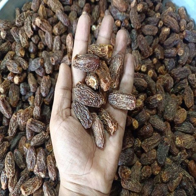 High Quality Organic Sokari Dates Sweet Soft Snack Fruit AD Dried with Box Packaging Water Preservation - Image 2
