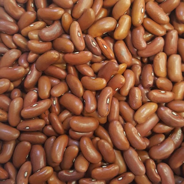 Red Beans With High Nutritional Content Red Beans Ensuring Healthy Choice For International Food Industry Buyers - Image 3