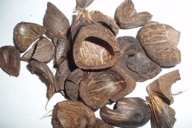 Palm kernel Shell Packaging - Image 1