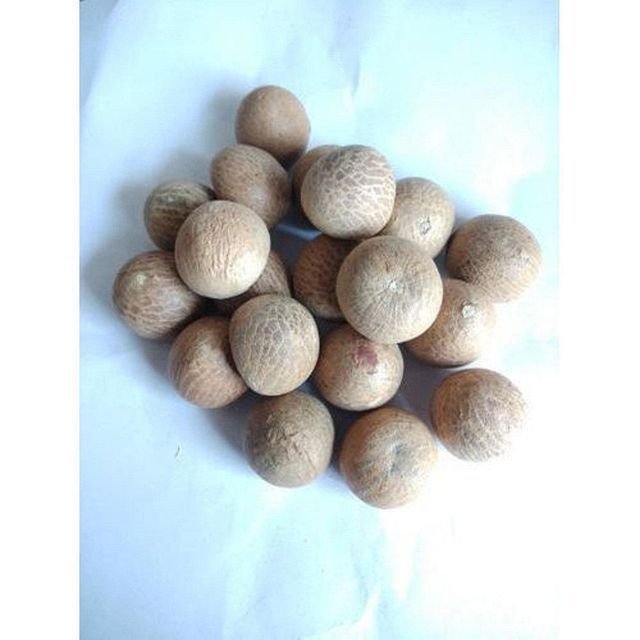Whole Kernel Betel Nuts Available With Authentic Origin And Clean Processing For Global Importers - Image 4
