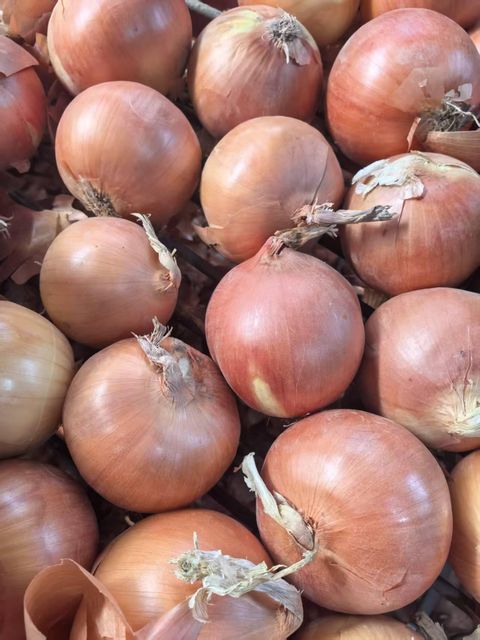 Fresh Yellow Onion, China Origin, Factory Direct Supply – product photo 1, product detail gallery
