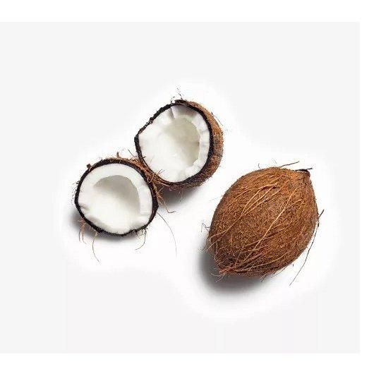 Wholesale ready fresh coconut delivered with reliable quality standards - Image 3