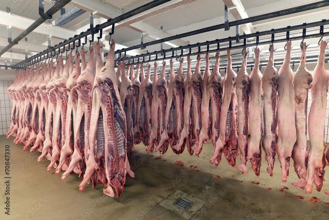 Pork Meat Grade A Type Fresh Pork Meat Packaging Vacuum sealed - Image 1