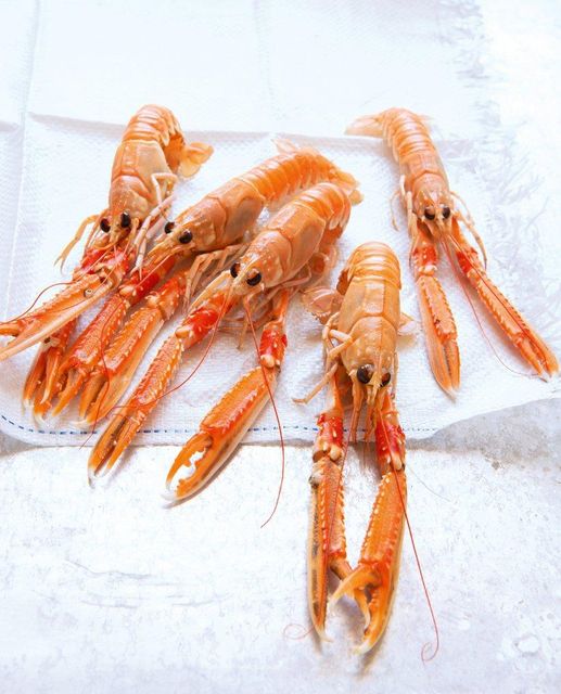 Live Blue Lobster Organic No Origin Atlantic, UK Freshness Level Live Catch Method Wild-Caught - Image 3