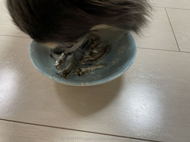 High quality Japanese seafood Fish Meal for sale use for dashi powder and seafood condiment and pet food - Image 4