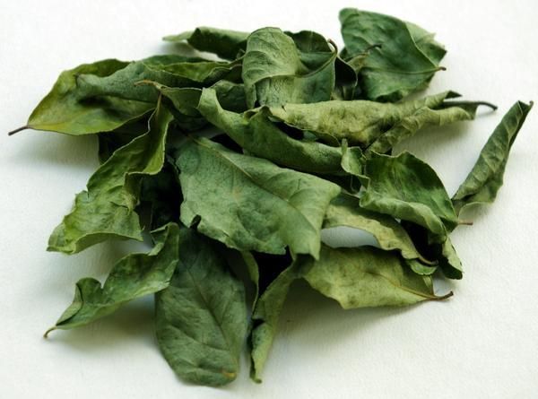 Dehydrated Curry Leaves – Premium Grade | Export Quality Grade PREMIUM Max. Moisture (%) 8 Place of Origin INDIA Color Natural Green Color - Image 4