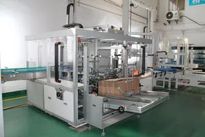 Vertical Pick and Place Case Loading Machine - Image 6