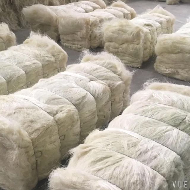 Processed Sisal Fiber For Twine Carpet Production Clean Natural Sisal Fiber Bulk Order Availability - Image 4