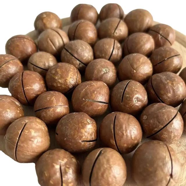 High Quality Macadamia Nuts Sweet Milky Flavor Nut Dried Fruit Wholesale Supply Whatsap +255787979235/ 255762500052 - Image 2