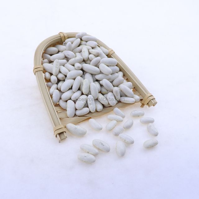 Wholesale Dried Organic Long Shape Bulk White Kidney Bean Butter Beans - Image 6